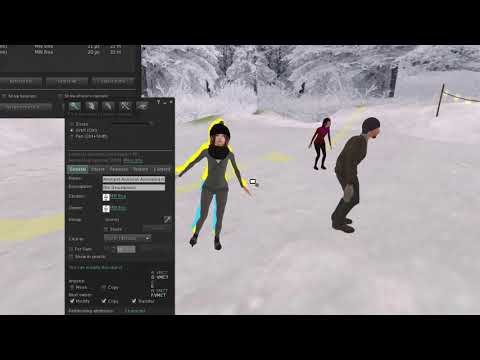 Instructions How to set up AnimPet Animesh Ice Skating People