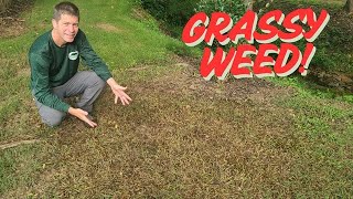 One Product Wrecking Ball on Tough Grassy Weed