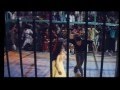 Dil Hi To Hai 1993 Dil Hi To Hai Aagaya Divya Bharti Jackie Shroff