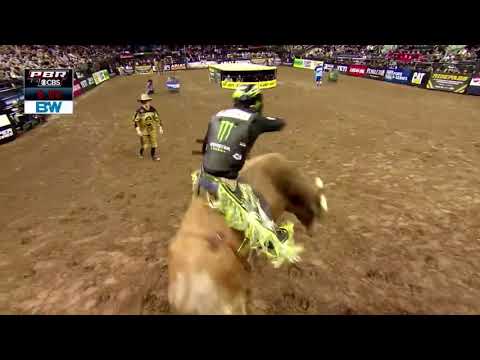 514 Blonde Blizzard, PBR New York City