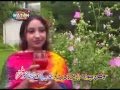 Afshan Zaibi Jhoom Brabar Jhoom Sharabi YouTube 3gp