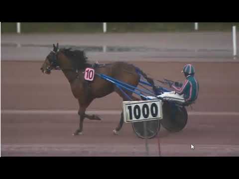 RACE 2  -  LAVAL  - FRANCE