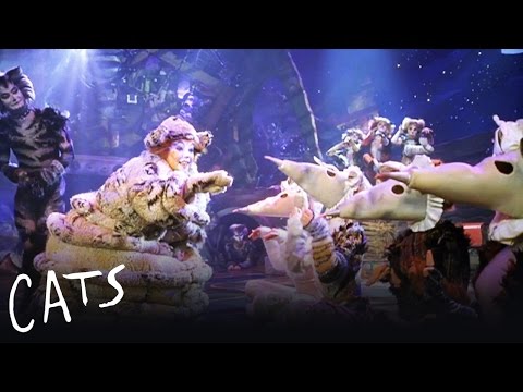 The Old Gumbie Cat | Cats the Musical