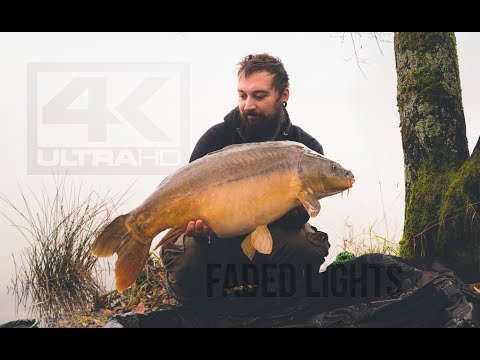 Carp Fishing in CAVA -SLOVENIA - 4K Ultra HD