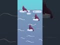 Murdery Facts About Killer Whales