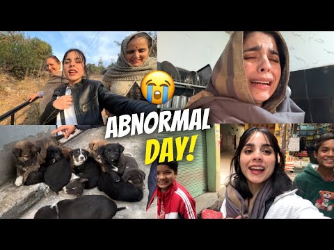 Just another Abnormal Day in my Life 😂(A Documentary) |AD367