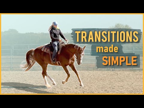 Hollowing out during transitions? | Help your horse get SOFT