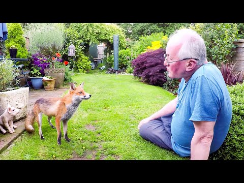 庭で動物保護を強化するための 5 つのヒント 自然と動物