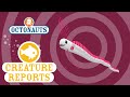 Octonauts Creature Reports Oar Fish