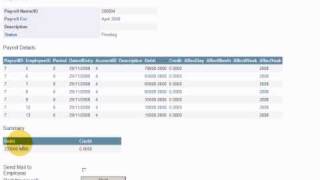 Online Payroll Software: Open Payroll
