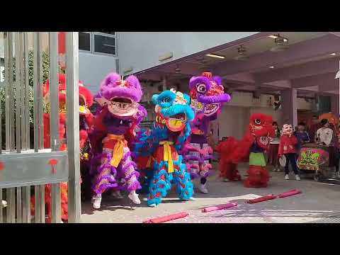 DRAGON DANCE #FABchannel