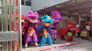 DRAGON DANCE #FABchannel