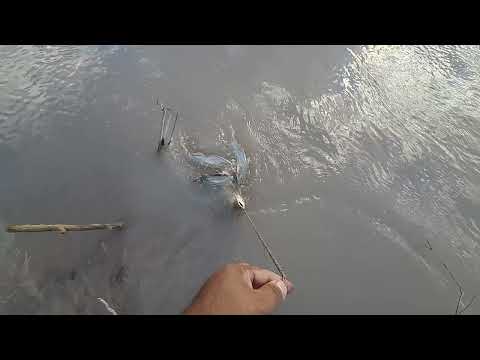 Pescando en el Río las Garzas en el Carril Salta Argentina..