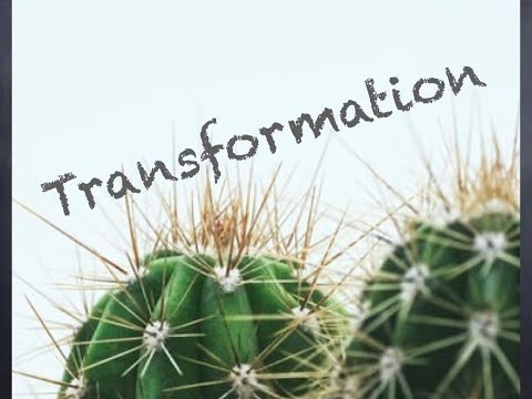 erkenne dich selbst und du erkennst die anderen