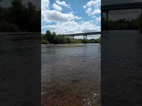 Santa Lucia - Canelones / #uruguay #natural #rio #aquariumfish