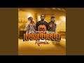 Namudiguli Remix