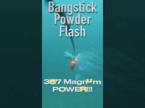 Bangstick Powder Flash #Short