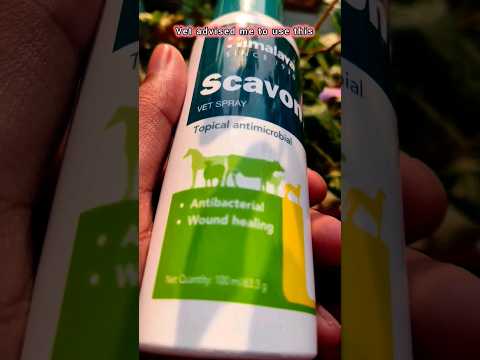 Syrup Veko Wound & Pain Relief For Cats