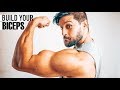 ARM DAY Curls | Build Bigger BICEP PEAKS | Lex Fitness MasterClass