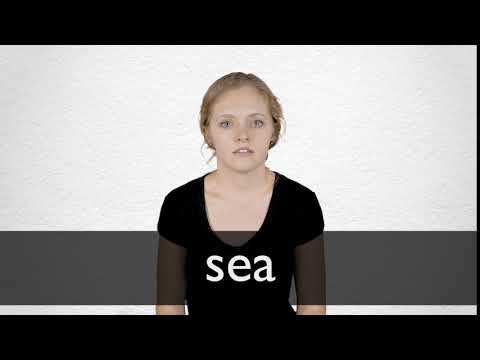 How to pronounce SEA in British English