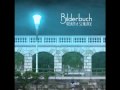 Bilderbuch- Discokugel 