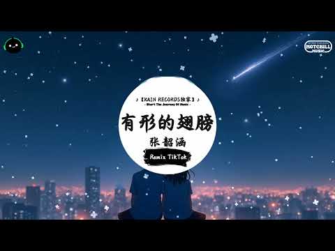 有形的翅膀 (抖音DJ版) - 张韶涵『这一路 翻阅了 喜与悲 是与非，一双眼 看过许多变迁。』♪ || 王者荣耀超燃语音BGM | 抖音 | TikTok ♪