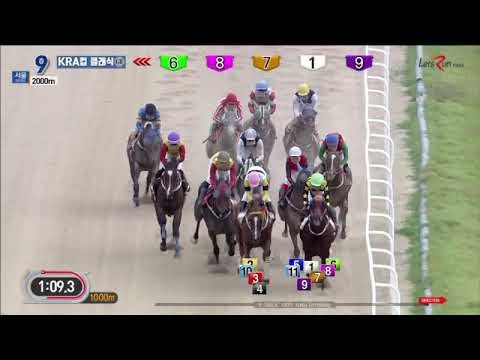 KRA Cup Classic 2019 - Dolkong