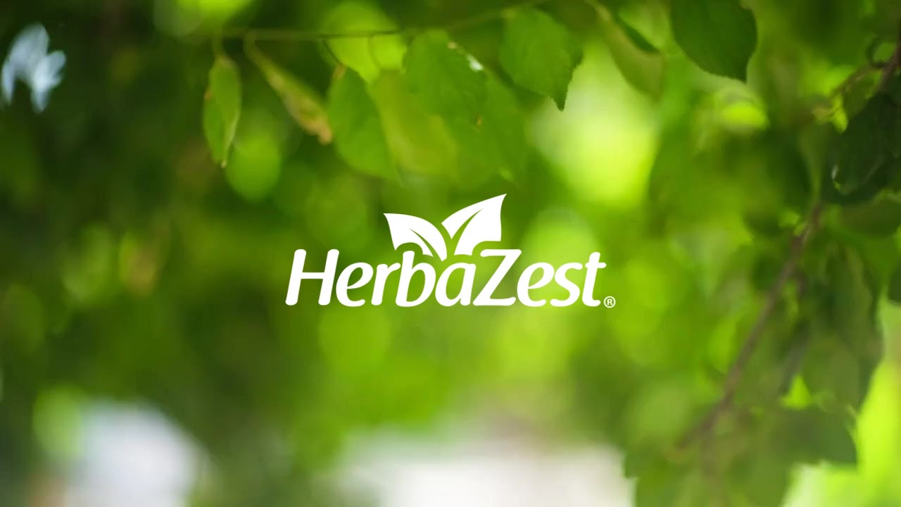 Discover HerbaZest | Peruvian Superfoods for Health & Vitality