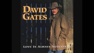 David Gates - Avenue of Love