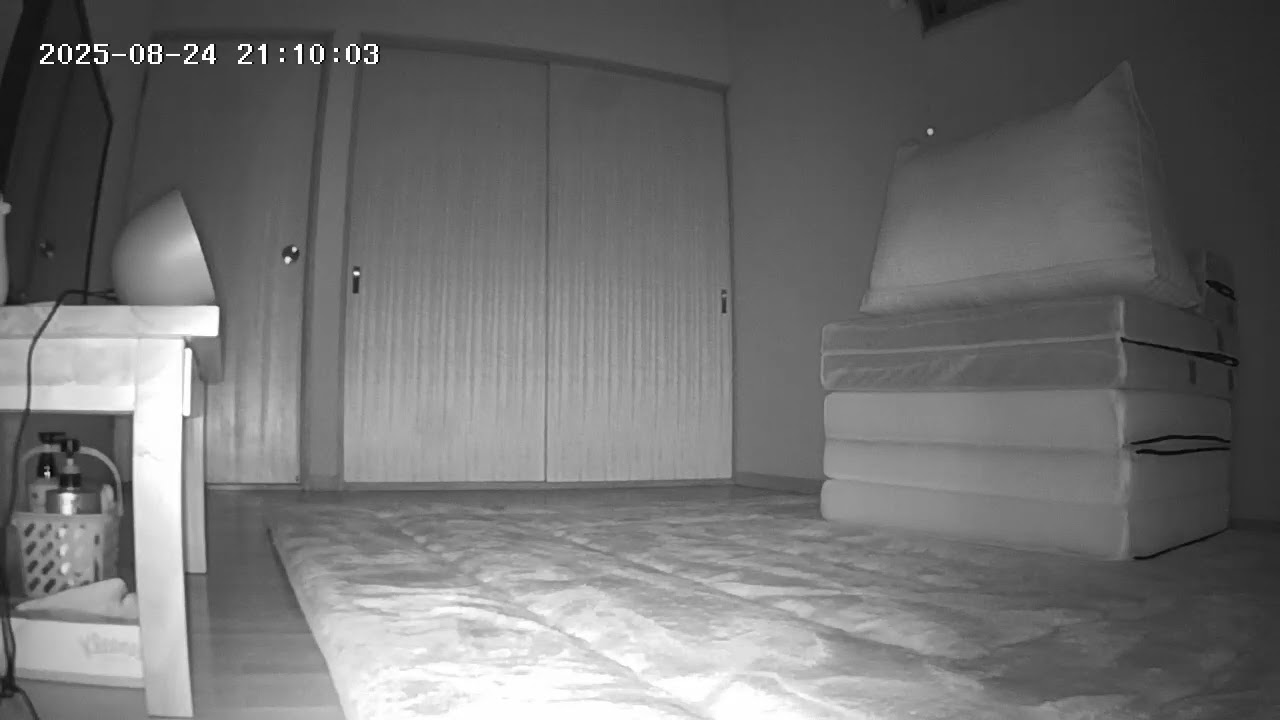 オバケ？（防犯カメラの映像）