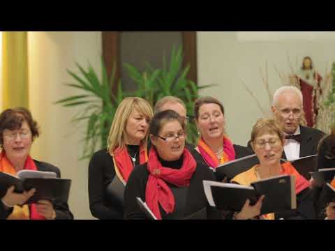 Farkas Ferenc - Fényes angyal