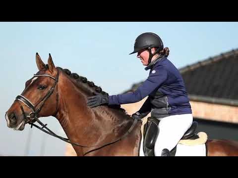 ELTON (Escolar x De Kooning) onder Kim Jansen