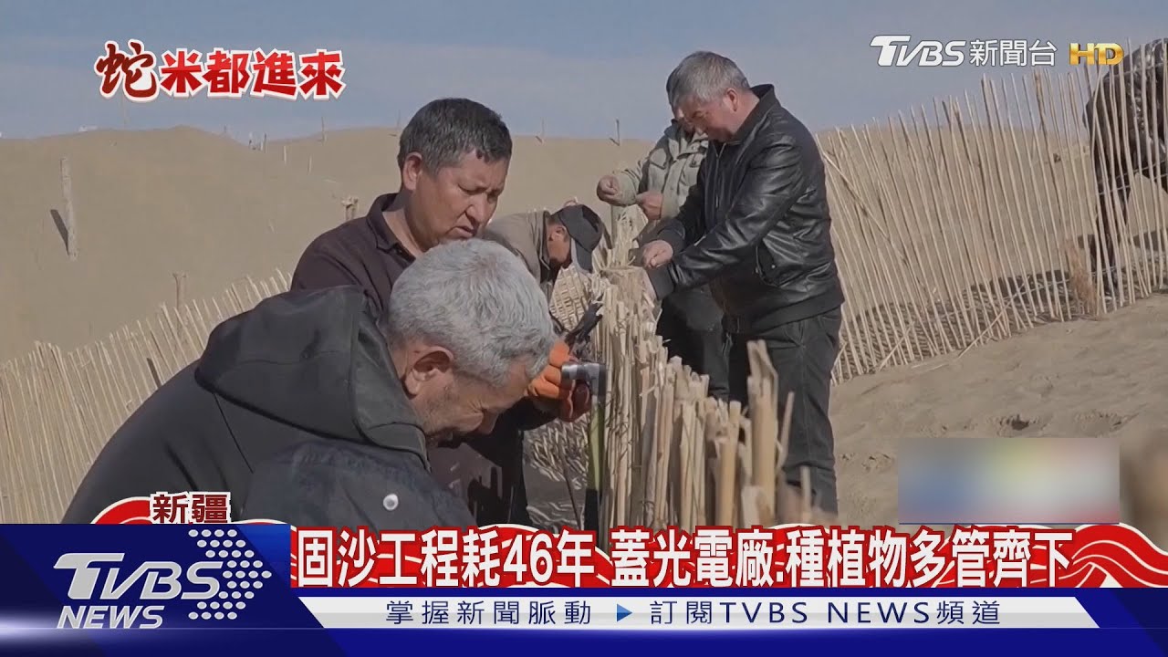 人定勝天?大陸防國土流失 塔克拉瑪干沙漠打造3千公里綠色長城