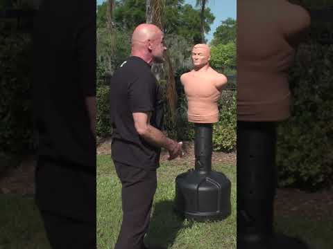 Got a problem with a bully? Bas Rutten has tips for you