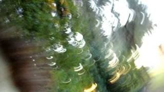 Pete The Killer Strikes Again