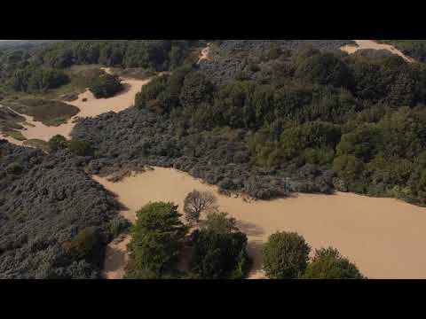 Merthyr Mawr Warren National Nature Reserve - Gwarchodfa Natur Genedlaethol Tywyn Merthyr Mawr