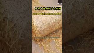 Round baler for wheat stalks baling: how to use hay baler for bundling straws? Stalks baler machine