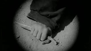 Sutekh - Cygnus