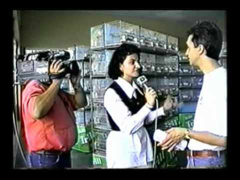 OURO FINO NOTICIÁRIO MUNICIPAL FILME 18 BLOCO 1 - 03 DE JUNHO DE 1994