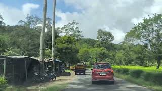 Download lagu Jalur Kadupandak Cianjur Selatan, kombinasi kebun teh dan kebun duren mp3