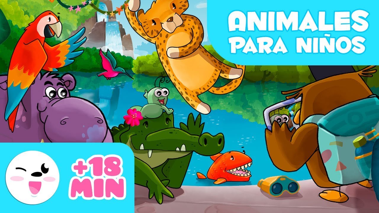 Los animales del mundo para niños - Conoce la naturaleza