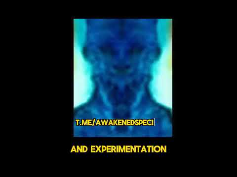Dr Daniel Nemes - Multidimensional or Interdimensional Beings