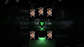 Download lagu DJ KICAU KICAU KICAU MANIA SLOW VIRAL TIKTOK TERBARU 2026 mp3