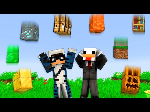 MINECRAFT MA I BLOCCHI CADONO DAL CIELO!!