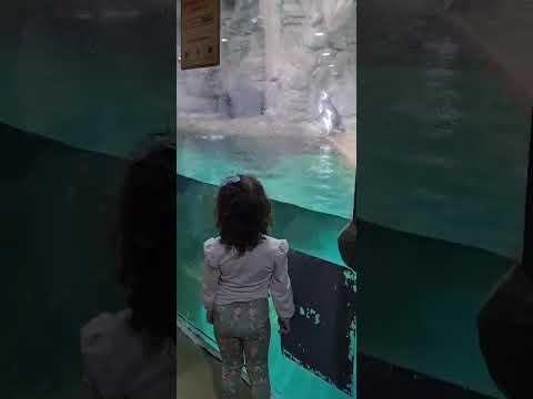 Lavínia no Aquário de São Paulo 🐟