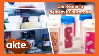 Wo verstecken sich die Keime im Kühlschrank? Der große Hygiene-Check! | Akte | SAT.1