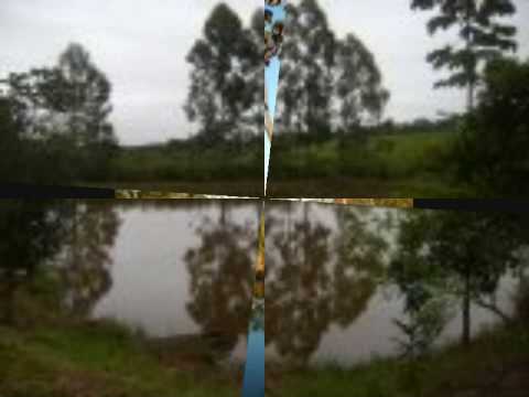 Eu E A Brisa - Astrid Maria Rossi