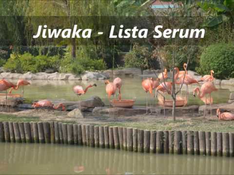 Lister Serum - Jiwaka (PNG Music)