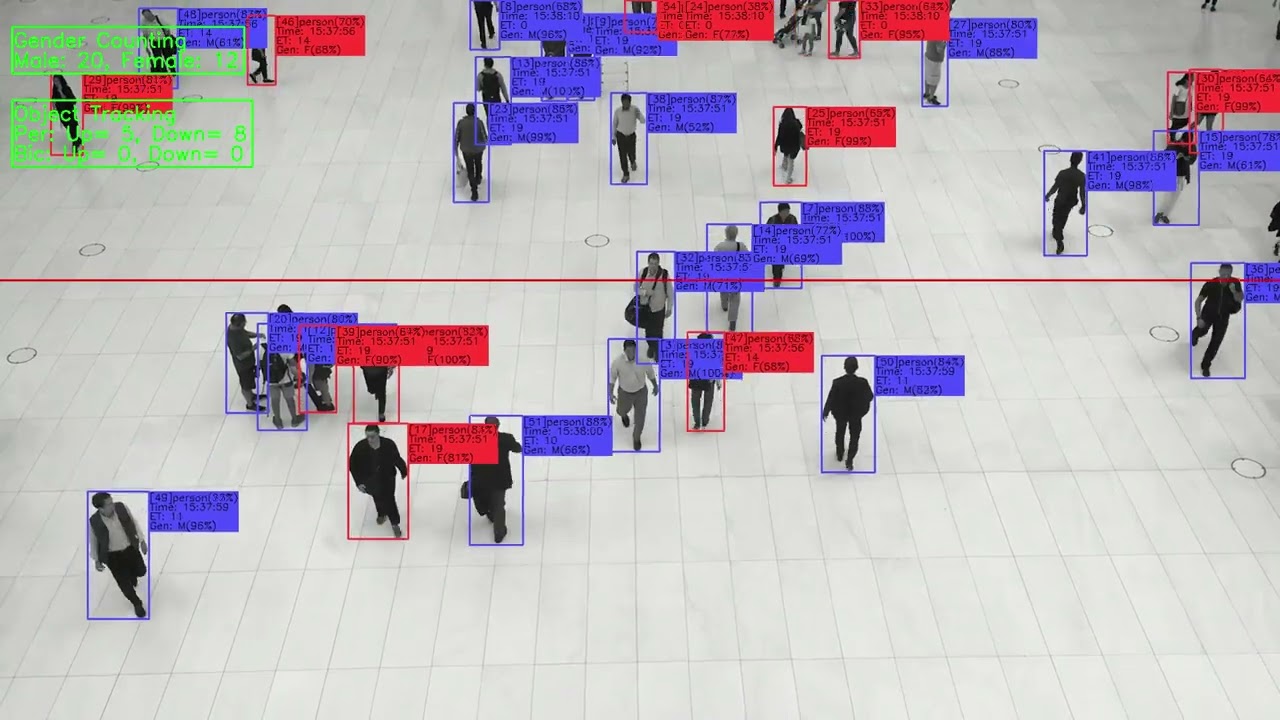 People Counting Solution Video