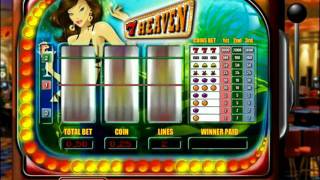 SkillOnNet.flv